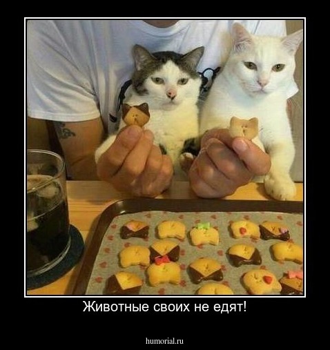 Животные своих не едят!