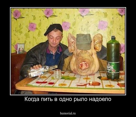 Когда пить в одно рыло надоело
