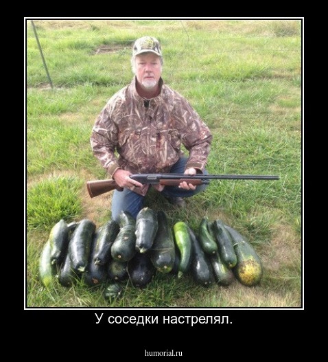 У соседки настрелял.