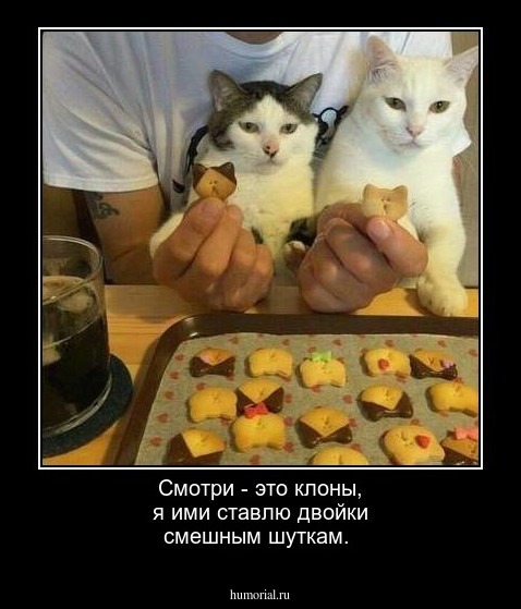 Смотри - это клоны, я ими ставлю двойки смешным шуткам.