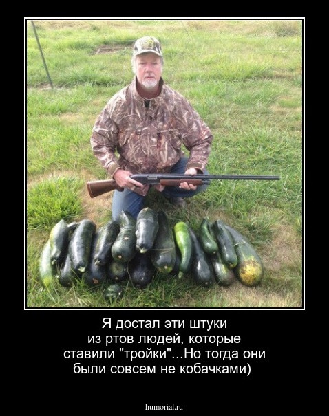 Я достал эти штуки из ртов людей, которые ставили "тройки"...Но тогда они были совсем не кобачками)
