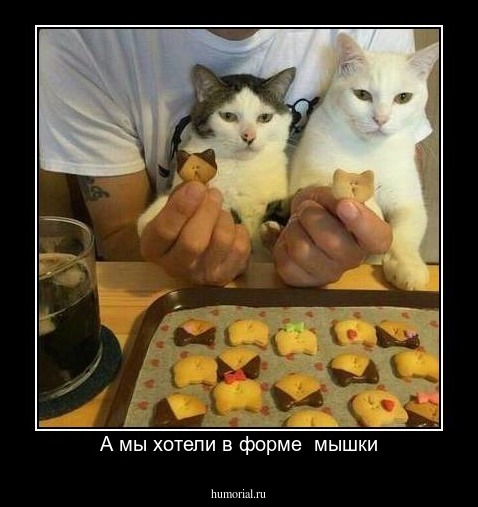А мы хотели в форме  мышки