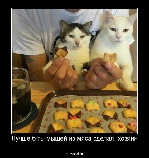 Лучше б ты мышей из мяса сделал, хозяин