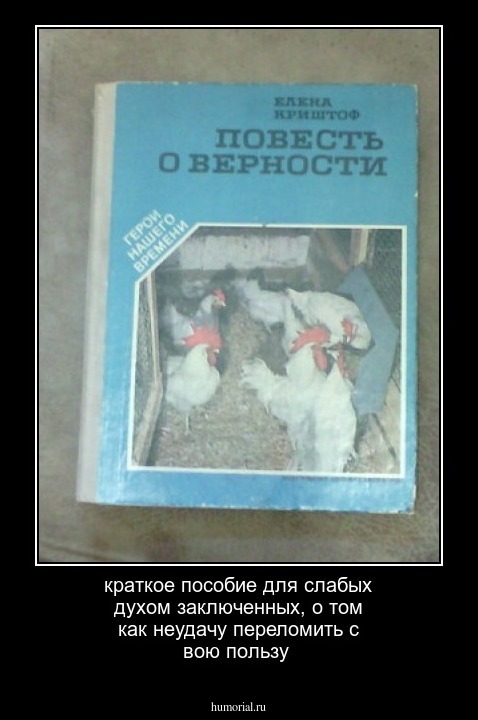 краткое пособие для слабых духом заключенных, о том как неудачу переломить с вою пользу