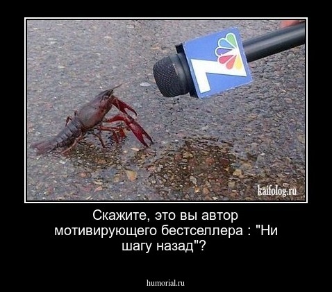 Скажите, это вы автор мотивирующего бестселлера : "Ни шагу назад"?