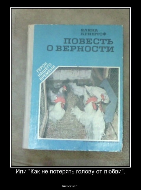 Или "Как не потерять голову от любви".