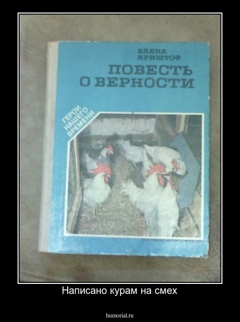 Написано курам на смех