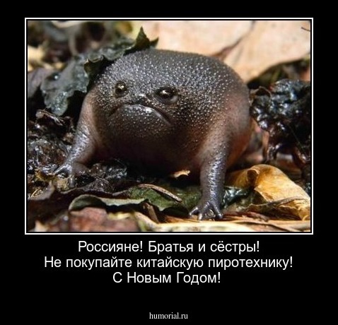  Россияне! Братья и сёстры! Не покупайте китайскую пиротехнику! С Новым Годом!