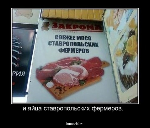 и яйца ставропольских фермеров.  
