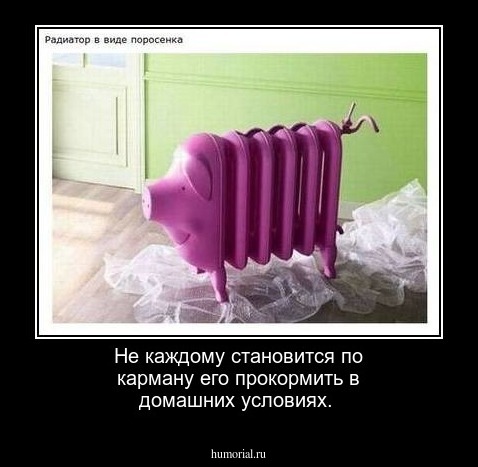 Не каждому становится по карману его прокормить в домашних условиях.