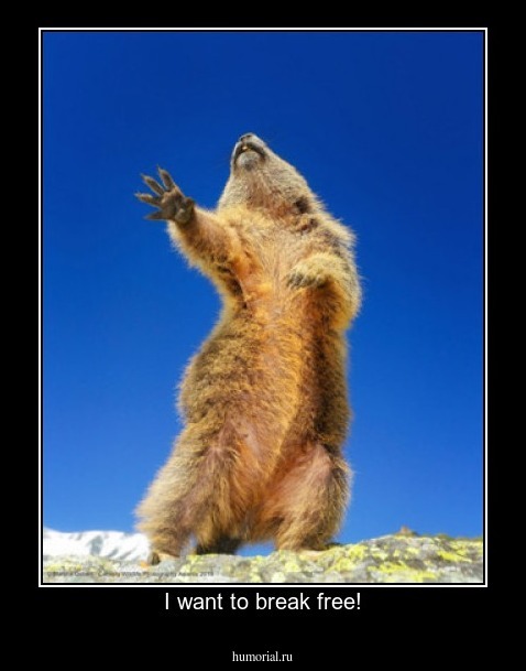 I want to break free!