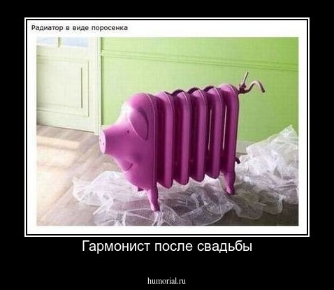 Гармонист после свадьбы
