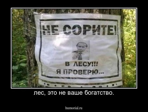 лес, это не ваше богатство.