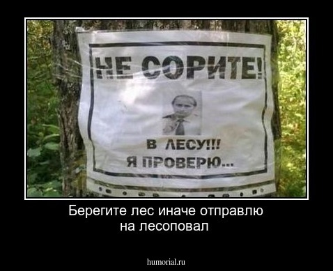Берегите лес  иначе отправлю на лесоповал