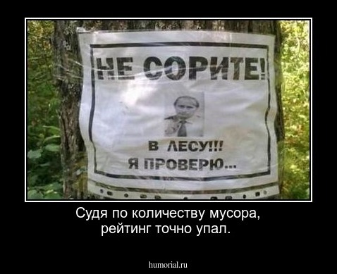 Судя по количеству мусора, рейтинг точно упал.