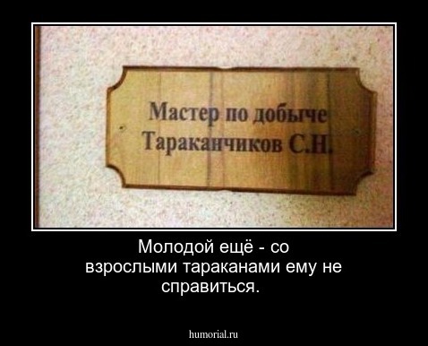 Молодой ещё - со взрослыми тараканами ему не справиться.