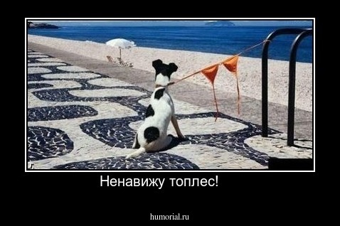 Ненавижу топлес!     