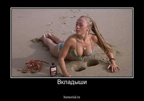 Вкладыши