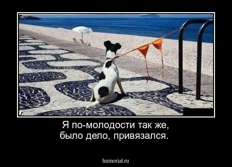 Я по-молодости так же, было дело,  привязался.