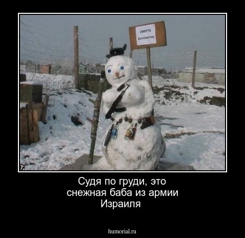 Судя по груди, это снежная баба из армии Израиля