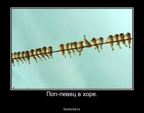 Поп-певец в хоре.