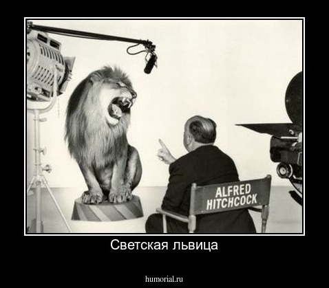Светская львица