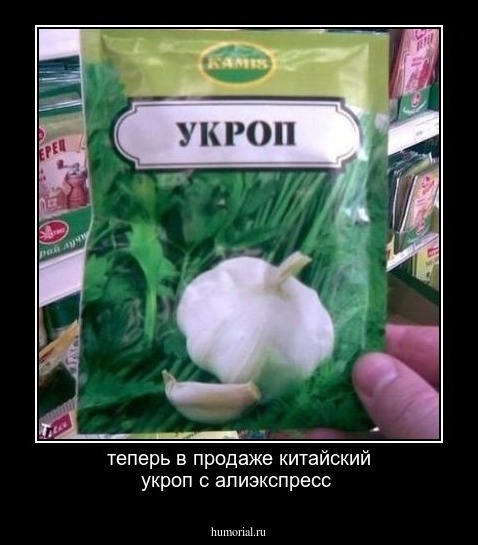 теперь в продаже китайский укроп с алиэкспресс