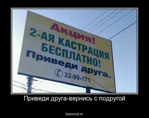 Приведи друга-вернись с подругой