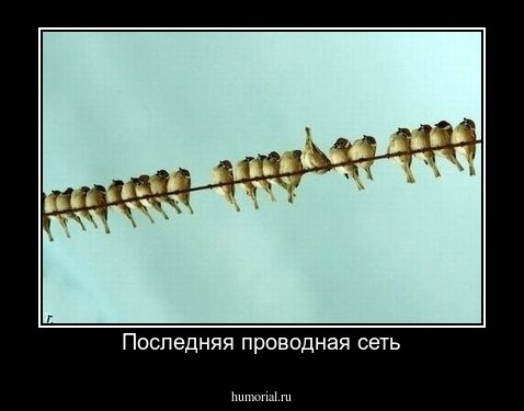 Последняя проводная сеть