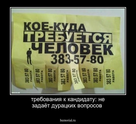требования к кандидату: не задаёт дурацких вопросов