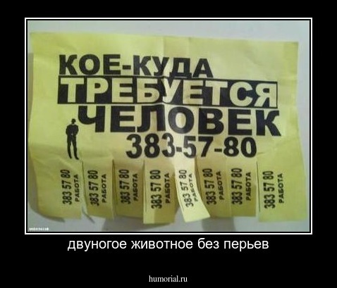 двуногое животное без перьев