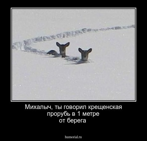 Михалыч, ты говорил крещенская прорубь в 1 метре от берега