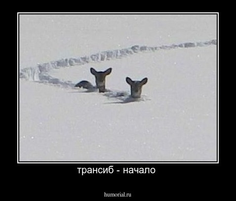 трансиб - начало 