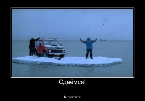 Сдаёмся!