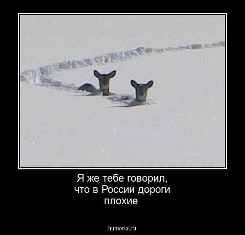 Я же тебе говорил, что  в России дороги  плохие