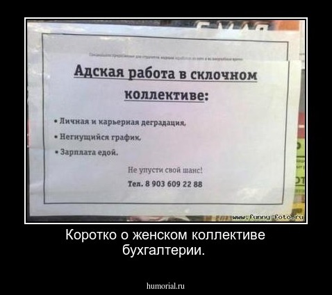 Коротко о женском коллективе бухгалтерии.