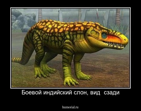 Боевой индийский слон, вид  сзади