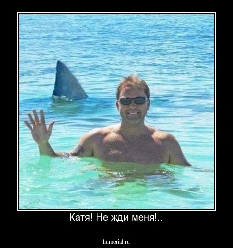 Катя! Не жди меня!..