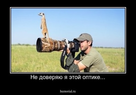 Не доверяю я этой оптике...