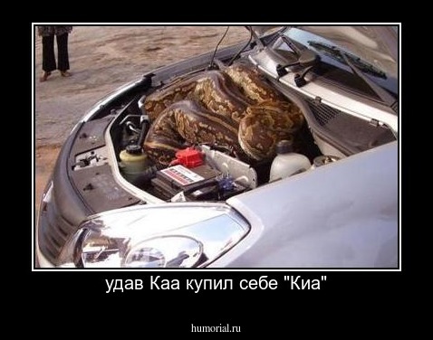 удав Каа купил себе "Киа"