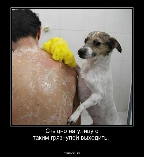 Стыдно на улицу с таким грязнулей выходить.