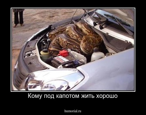 Кому под капотом жить хорошо