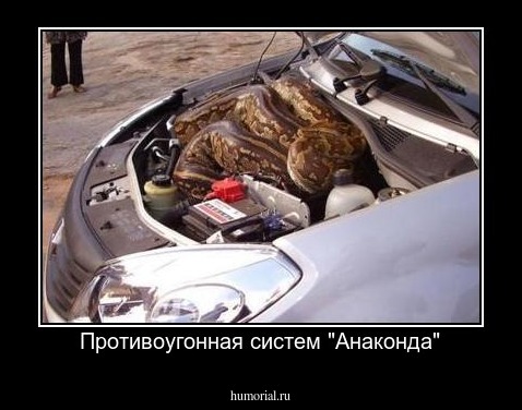 Противоугонная систем "Анаконда"