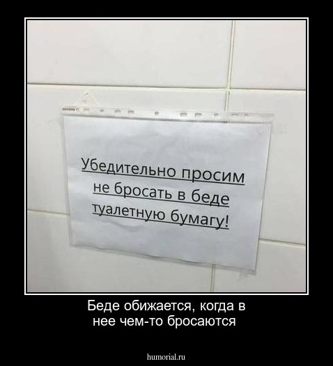 Беде обижается, когда в нее чем-то бросаются