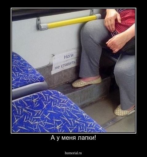 А у меня лапки!