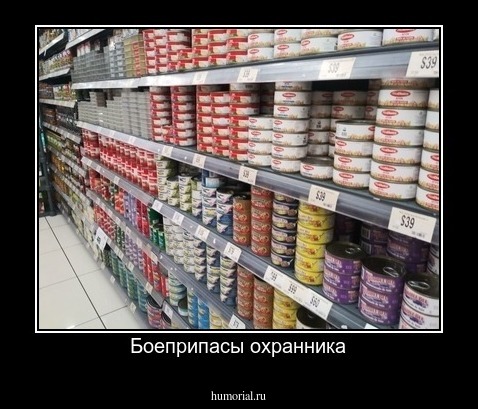 Боеприпасы охранника