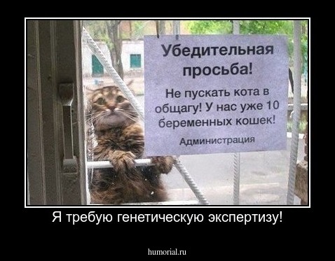 Я требую генетическую экспертизу!