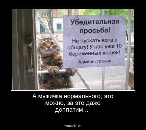 А мужичка нормального, это можно, за это даже доплатим...