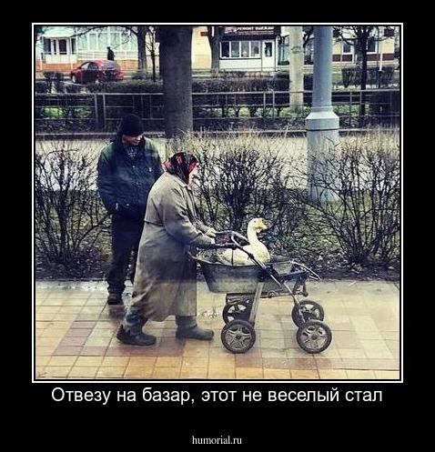 Отвезу на базар, этот не веселый стал