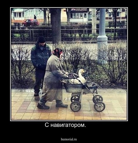 С навигатором.    